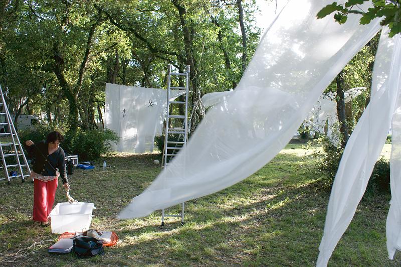 CEF 2008 Fouras A Installation_006.jpg